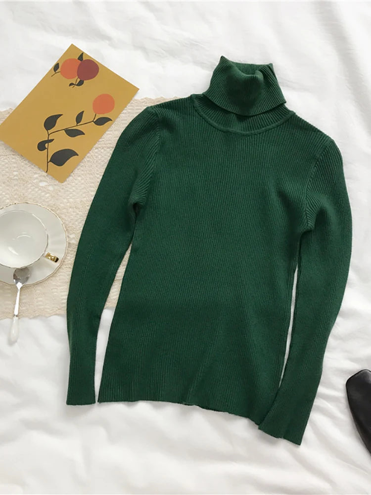 Women’s Ribbed Turtleneck Sweater