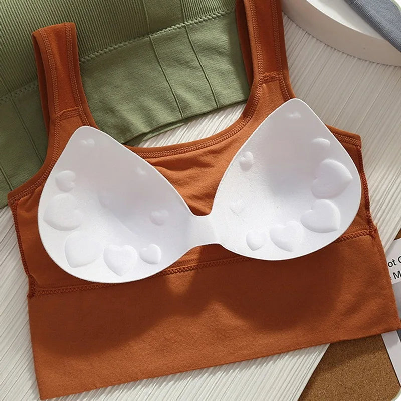 Women’s Seamless Sports Bra