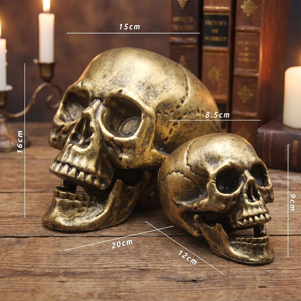 Realistic Skull Head Halloween Prop