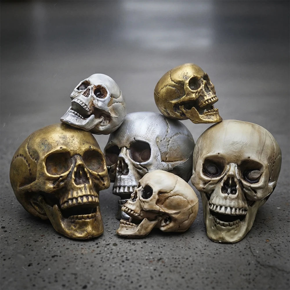 Realistic Skull Head Halloween Prop