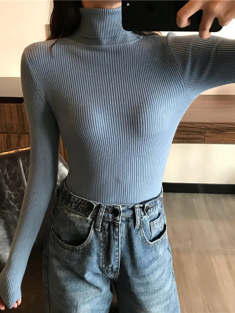 Women’s Ribbed Turtleneck Sweater
