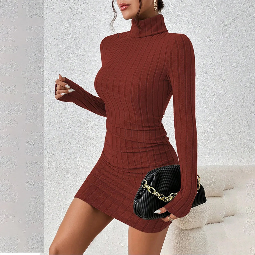 Women’s Turtleneck Knit Mini Dress