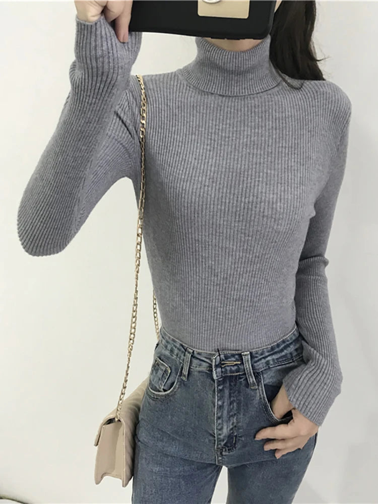 Women’s Ribbed Turtleneck Sweater