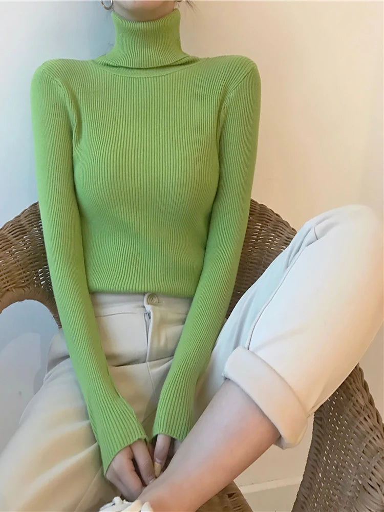 Women’s Ribbed Turtleneck Sweater