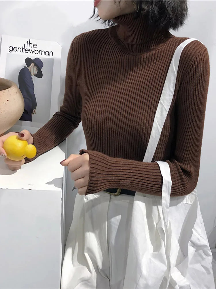 Women’s Ribbed Turtleneck Sweater