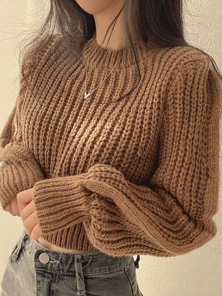 Women’s Vintage Lantern Sleeve Sweater