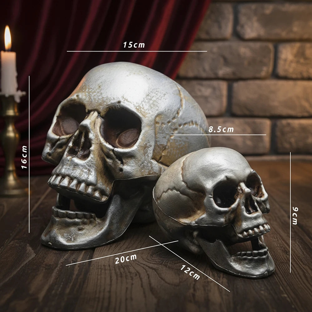 Realistic Skull Head Halloween Prop