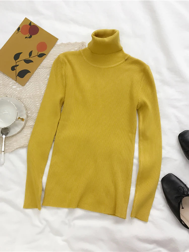 Women’s Ribbed Turtleneck Sweater