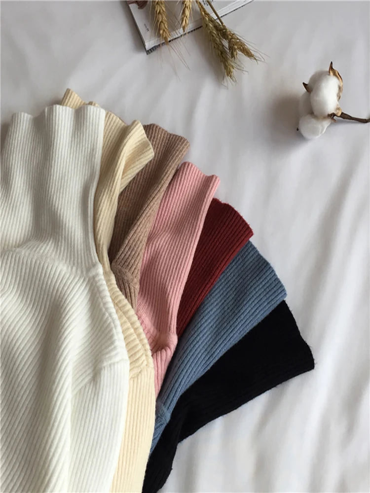 Women’s Ribbed Turtleneck Sweater